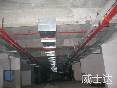 長(cháng)沙青竹湖水印加州2